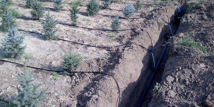 Bahçe Sulama Tesisatı